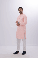 Embroidered Kurta 003 - 05 - Image 3